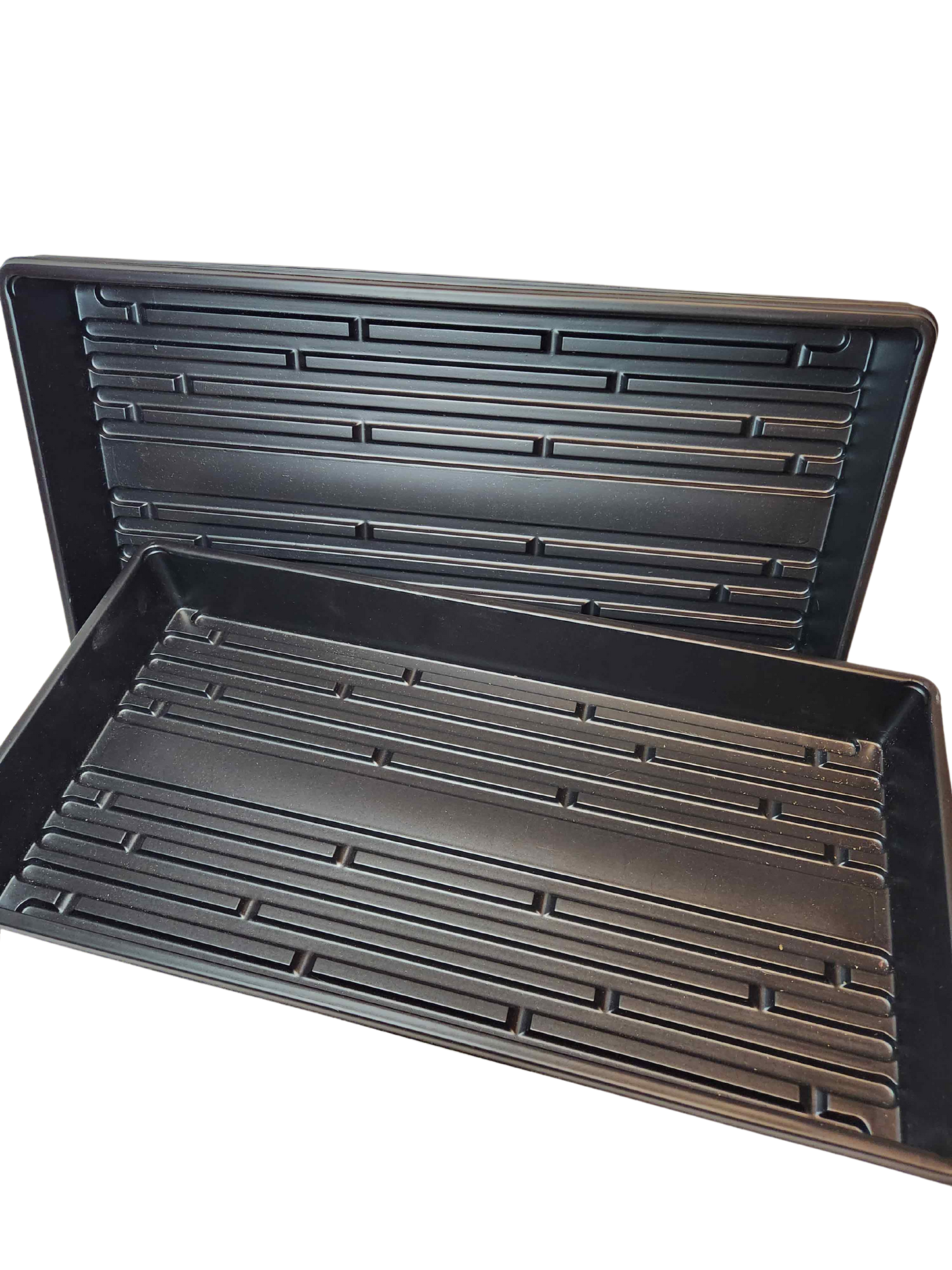 Trays